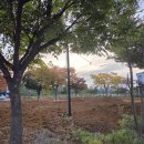 탄도항 노을 캠핑장 | [안산] 탄도항 최신 방문 후기! 노을캠핑장 실종, 회센터 공사 중, 누에섬 물때 필수