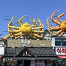 짬홍 | 구룡포 드라이브 갔다가 먹고 온 홍게짬뽕 짬홍 후기