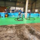 구조라위판장 이미지