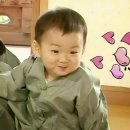 오늘의 강아지 이미지