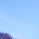 상서재로 이미지