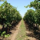 해도농장 이미지