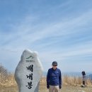 영 농장 Daum카페