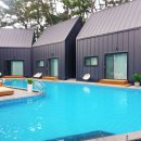 포항 슬로우 오션&amp;히든포레스트 풀빌라 후기