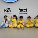 비봉 푸르미르태권도장 이미지