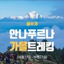 알파캠프