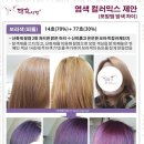 태후사랑 이미지