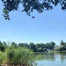 두번째산책 이미지