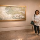 정열농장 | 과천 현대미술관 해외명작 수련과 샹들리에