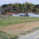 시영농장2 이미지