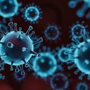 우리들내과의원 이미지