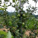 대흥농약사 이미지