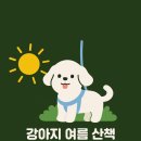 뭉투샵 이미지
