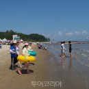 보성종합정비(주) 투어코리아