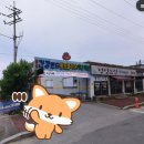 증평 건강랜드 불가마 찜질방 이미지