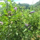 동현농장 이미지