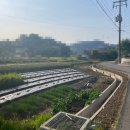 군산시청 성산면