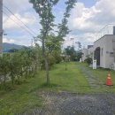 마벨라 풀빌라 이미지