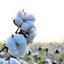 아침들녘 이미지