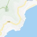 여차 갯닦이 미역