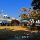 곡성-135 티스토리