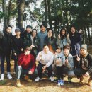 몽산포파인 이미지