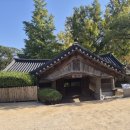 순천 나무숲 | 여행후기~섬진강대나무숲과순천선암사~KTX역장투어