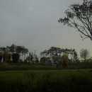 안성맞춤랜드20 이미지