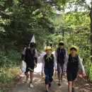 화개중학교 이미지