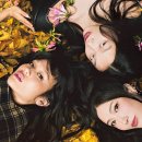 The King's gym 이미지