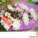 용미4리 이미지