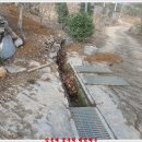 놀부농장 이미지