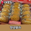 대부도 기념품 찰보리빵, 호두과자 천년보리 추천