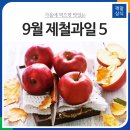 9월 제철과일 5 이미지