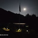 달꽃