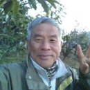 밤하늘에저별처럼 농장 Daum카페