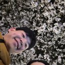 우리동네아구잔치 | 임신 34주차 휴직일기/ 진해 파파레, 명함지갑 만들기, 산후도우미업체신청, 군항제, 에어컨필터청소...