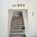 카페볼레길 이미지