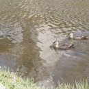 제민천1길 이미지