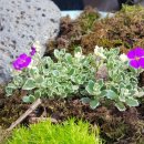 뼈다귀천국(운천점) 이미지