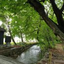 신선동-12 이미지