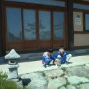 사슴자연 방목장 이미지