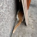 오공복이라포레점