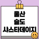 울산광역시 동구청 본관동 화장실 | 울산 슬도 샤스타데이지 꽃밭 개화 시기와 포토존 완벽 가이드