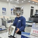 다비치안경 아산탕정역점 이미지