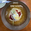 부산 남포동 광복동먹자골목 밀면 맛집 할매가야밀면