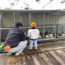 일오공삼 이미지