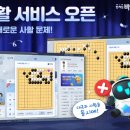 오목 헤럴드경제