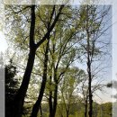 서정목장 이미지