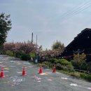 당림미술관 | 세종 근교 5살 아이랑 &#39;아산 당림 미술관 바닥화 체험&#39; 후기! ( 당림 미술관 겹벚꽃, 바닥화 예약 방법...